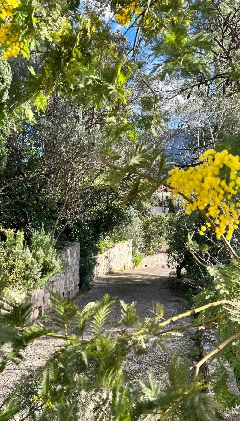 00_WhatsApp Image 2026-03-09 at 12.41.58 (1)